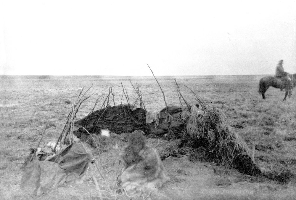 Image05